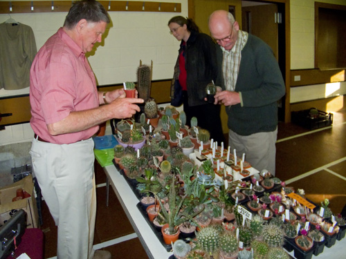 The Branch sales table, selling plants and pots